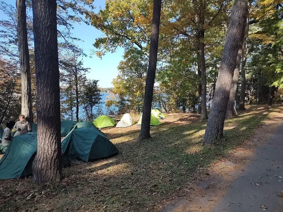 Tents and gear set up in a lakeside pine grove