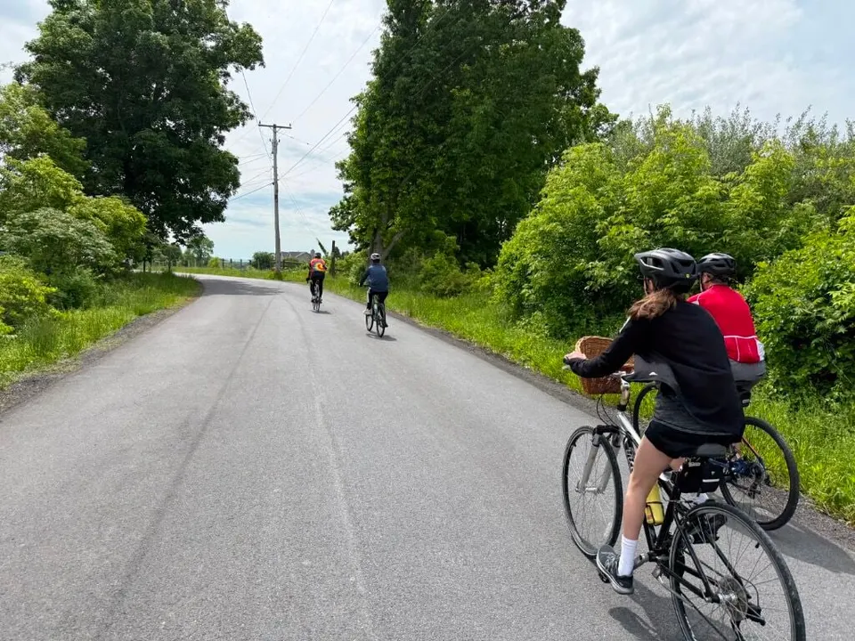 Riders in helmets on a tree-lined country road