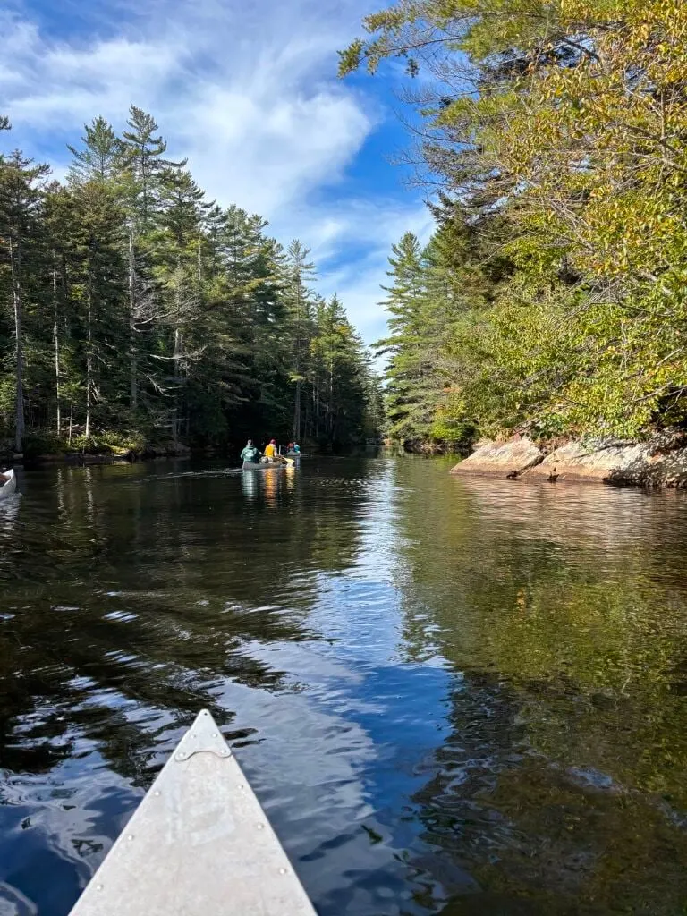 View from a canoe bow down a narrow, tree-lined channel with paddlers ahead