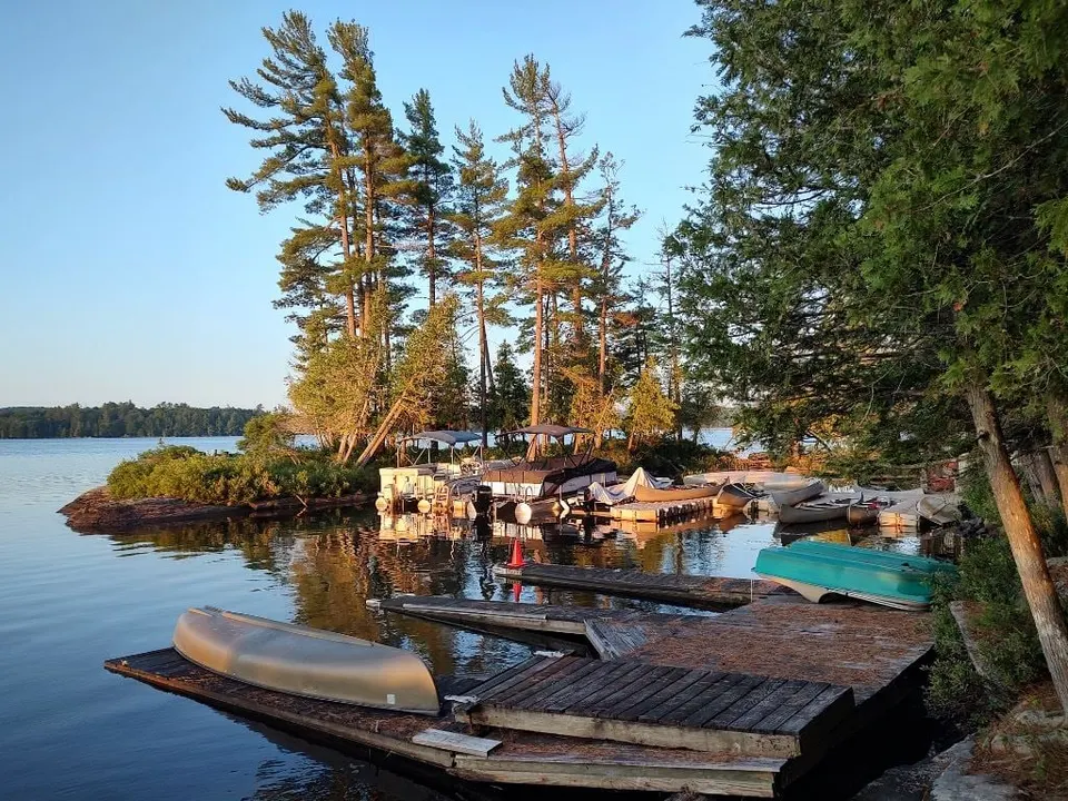 Morning light on a pine-covered island, with canoes tied up at a small dock