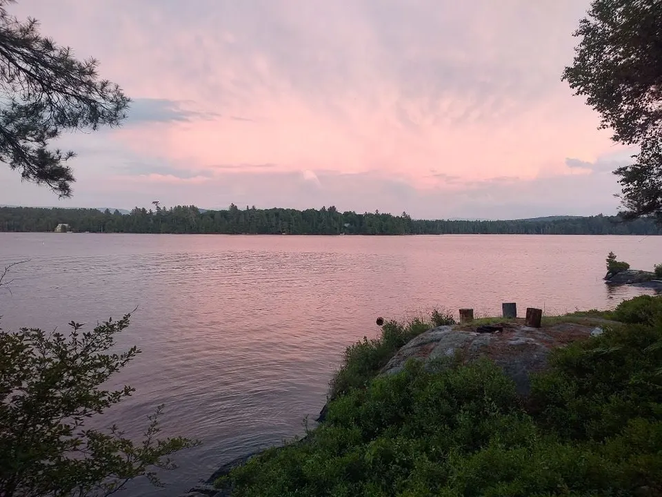 Pink evening sky over the lake, framed by pines
