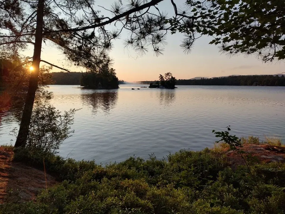 The sun rising through the pines along the shore