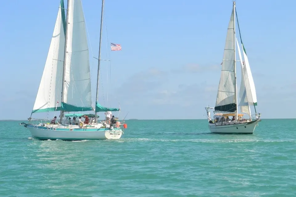 Two sailboats out on the bay