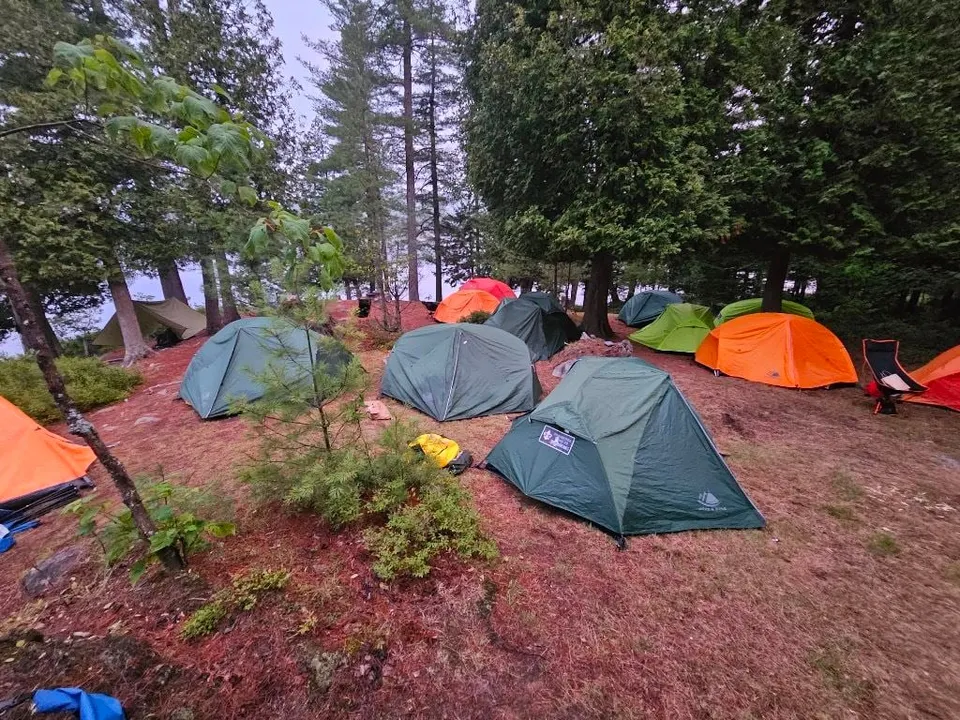 Tents pitched among the pines at a lakeside campsite