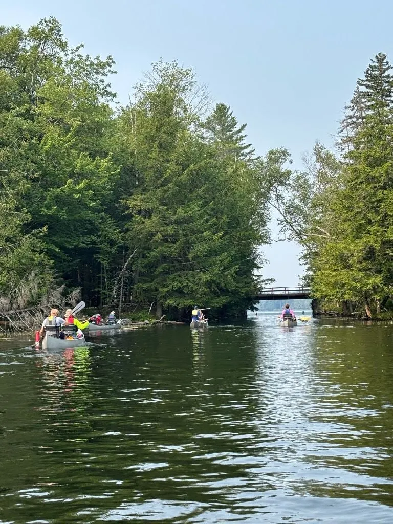 Canoes heading out between wooded islands on a sunny lake